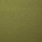 82_IMAGINE_BO_10-moss